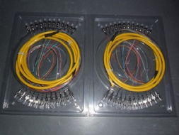 銳速直銷FC12芯束狀尾纖 寧波廠家價(jià)格與產(chǎn)品大圖全解析——聚焦慈溪市橫河銳速通信設(shè)備廠